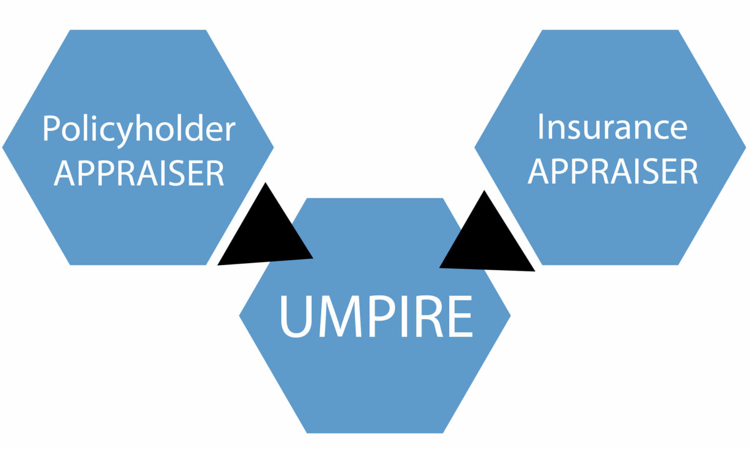 Appraisal/Umpire Process Virtual lnsurance Umpire